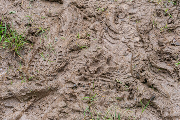 Muddy footpath after rainfall
