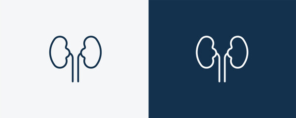 kidneys icon. Outline kidneys icon from medical collection. Linear vector isolated on white and dark blue background. Editable kidneys symbol