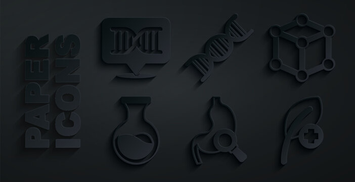 Set Stomach with magnifying glass, Molecule, Test tube and flask, Leaf or leaves, DNA symbol and icon. Vector