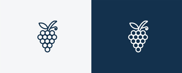 grapes icon. Outline grapes icon from vegetables and fruits collection. Linear vector isolated on white and dark blue background. Editable grapes symbol.