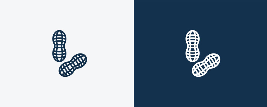 peanut icon. Outline peanut icon from vegetables and fruits collection. Linear vector isolated on white and dark blue background. Editable peanut symbol.