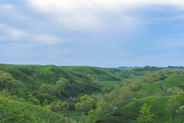 Obraz premium 草原