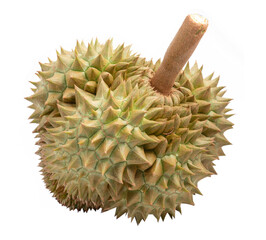 Durian fruit with cut in half and leaves isolated on white background.