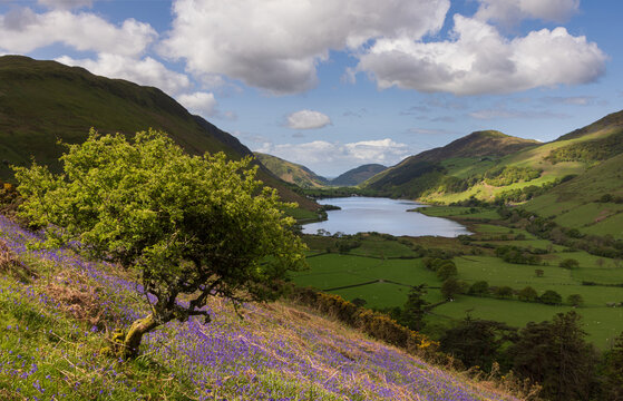 Llyn Mwyngil ot Tal y Llyn lake