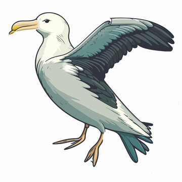recommend clip art: Sticker Albatross white outline. flat vector illustration