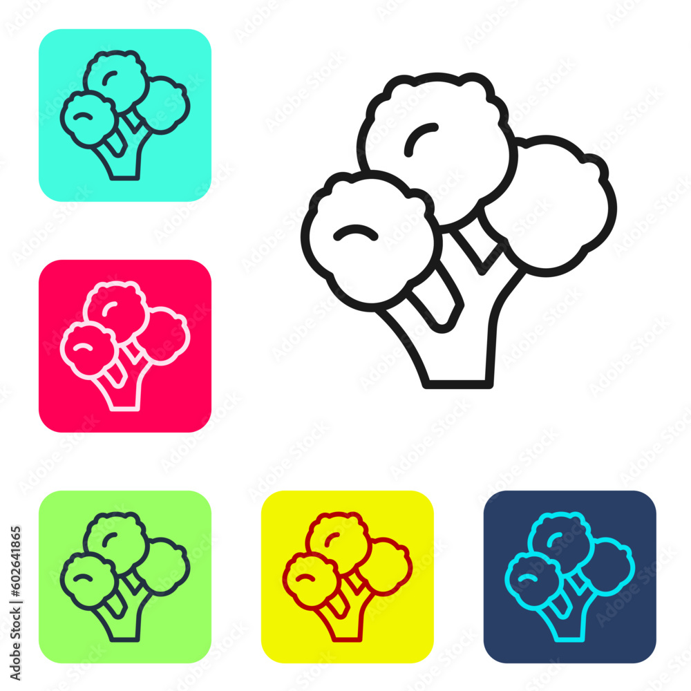 Poster black line broccoli icon isolated on white background. set icons in color square buttons. vector