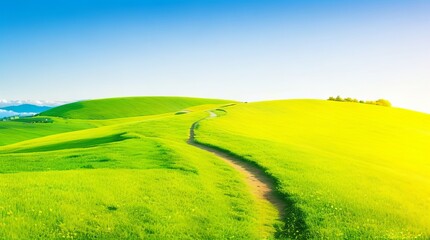 Obraz premium Picturesque winding path through a green grass field in hilly area in morning at dawn against blue sky with clouds. Natural panoramic spring summer landscape Generative Ai Technology.