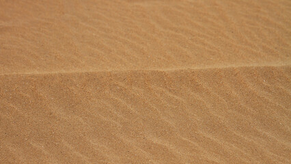 Sand Texture. Sand on the beach. Squeaks.