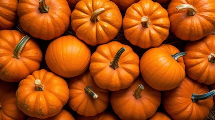Pile of pumpkins fullframe