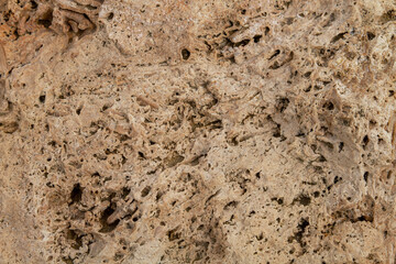 The texture of the stone is notched and mottled. holes notches grooves on the stone.