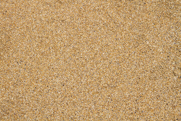 Sand Texture. Sand on the beach. Squeaks.