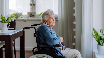 Portrait of senior woman on a wheelchair.