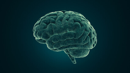 Medical image of the human brain