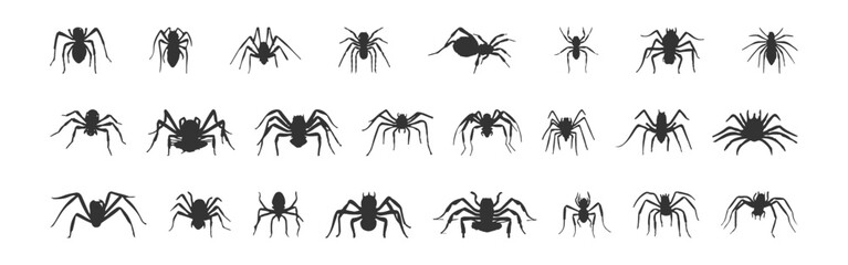 Set of black silhouettes of spiders isolated on white background, vector illustration