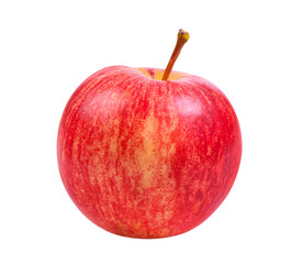 apple on transparent png