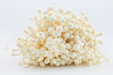 Golden needle mushroom on white background. ( Enoki mushroom).