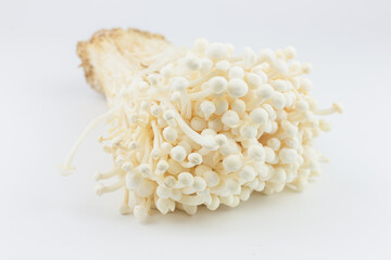 White Enoki mushroom on white background. (Golden needle mushroom)