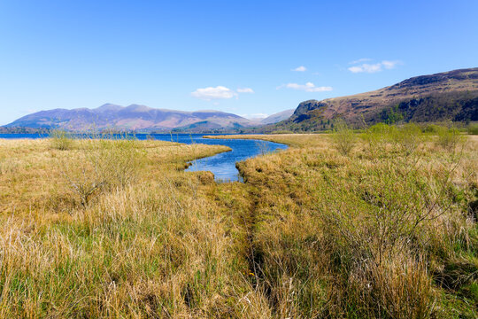 Across marshland on the eastern shore of Derwent Water.