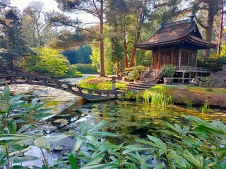 Japanese Garden at Tatton Park