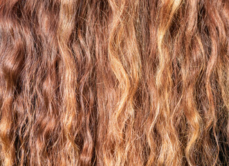 Light brown long hair texture background