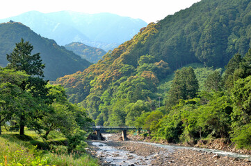 初夏の渓流と箸の風景