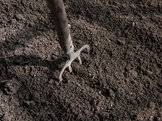 View of dig up raised garden bed and brown soil with pitchfork without any weeds, prepared for...