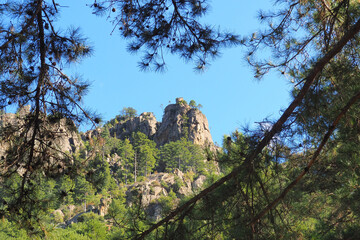 Departing from Corte, in the heart of Corsica, nicknamed the Island of Beauty, the Restonica gorges offer many possibilities for swimming and hiking