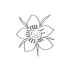 Fototapeta premium (flower) Strawberry