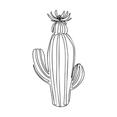One Line Cactus Drawing, Continuous modern illustration