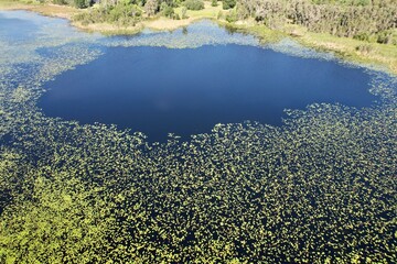 An aerial photo of Lake Chautauqua Nature Preserves in Tampa Bay, Florida.