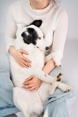 Dog trust and protection. Cuddling with adorable black and white outbred dog. Pet enjoying her owner petting a dog reduces stress. Happy moment at home with dog . slow life concept. Blue jeans