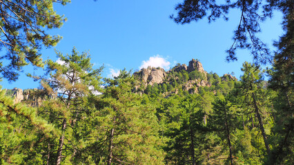 Fototapeta premium Departing from Corte, in the heart of Corsica, nicknamed the Island of Beauty, the Restonica gorges offer many possibilities for swimming and hiking