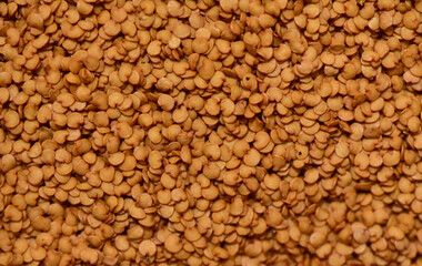 dried eggplant seed surface Seed Idea For Farmer Agriculture Background Design