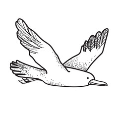 Seagull i flying in the sky. colouring drawing, tattoo, drawing, sketch