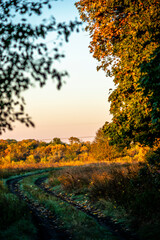 autumn landscape with trees