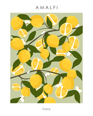 Amalfi lemon poster