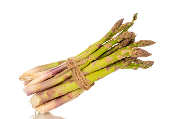 Several stalks of organic asparagus tied with jute rope, macro, isolated on white background.