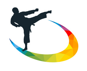 Martial art sport graphic for use as a template for flyer or for use in web design.