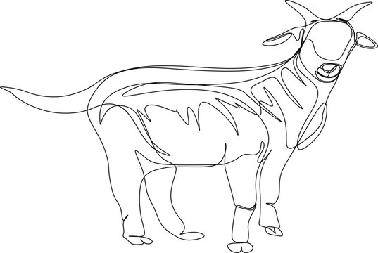The illustrations and clipart. an outline sketch of goat