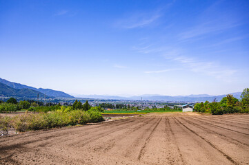 Fototapeta na wymiar 山形村の山側から見る安曇野