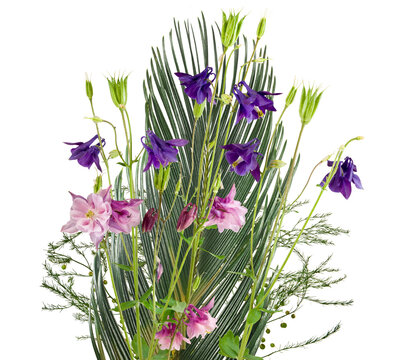 Bouquet colorful  flowers isolated on transparent background.