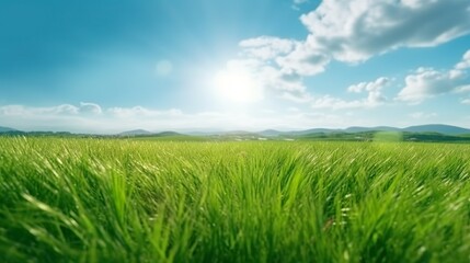 Beautiful panoramic natural landscape of a green field