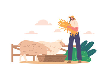 Obraz na płótnie Canvas Farmer Female Character Tends Sheep Flock With Fresh Hay. Animals Happily Graze On Nutritious Feed