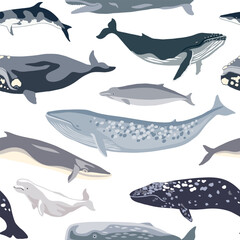Simple seamless pattern with different whales.
