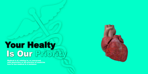 3d illustration  Anatomy of Human Heart 