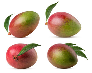Set mango exotic friut with leaf
