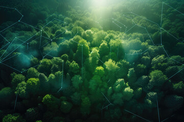 Aerial view of green forest in summer at dawn with glowing technological communication lines, created with Generative AI. - obrazy, fototapety, plakaty