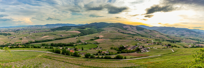 Naklejka premium Panorama sur le Beaujolais depuis le Mont Brouilly