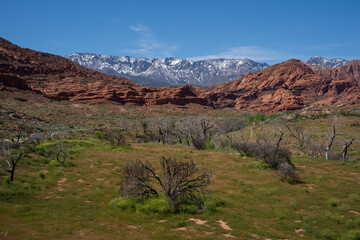 Red Cliffs Conservation Area, Hurricane, Utah, USA. Red mountains with snowy mountains in the background. 
