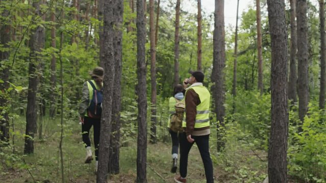 Tracking full shot of professional rescue team in green acid vests going through forest searching for lost tourist